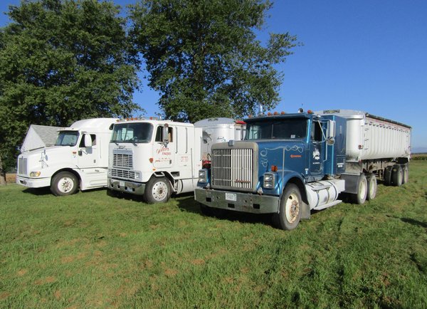 FARM EQUIPMENT AUCTION IN MERCER CO., ILLINOIS